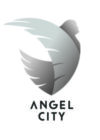 Angel City Football Club